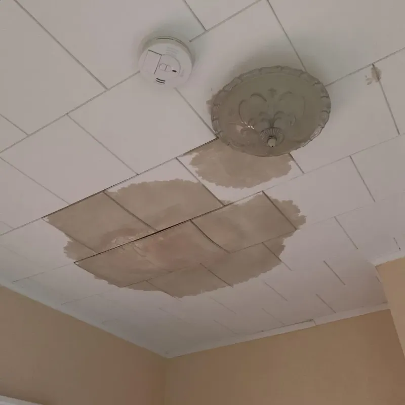 Ceiling Water Damage Repair in Hudson, NY
