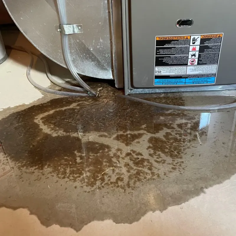 Pipe Burst and Leak Restoration in Hudson, NY