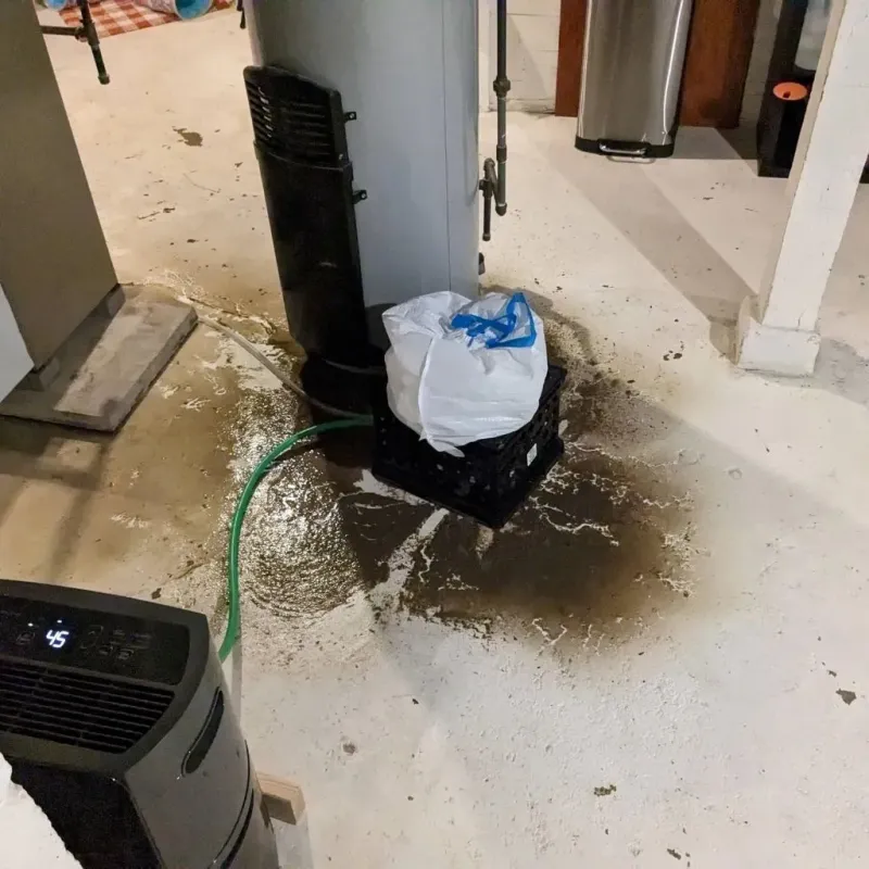 Sewage Backup Cleanup Service in Hudson, NY
